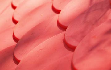 Newton Flotman plastic roof costs