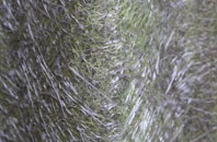 Newton Flotman fibreglass roof work