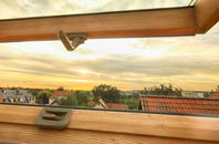 rated Newton Flotman roof window companies